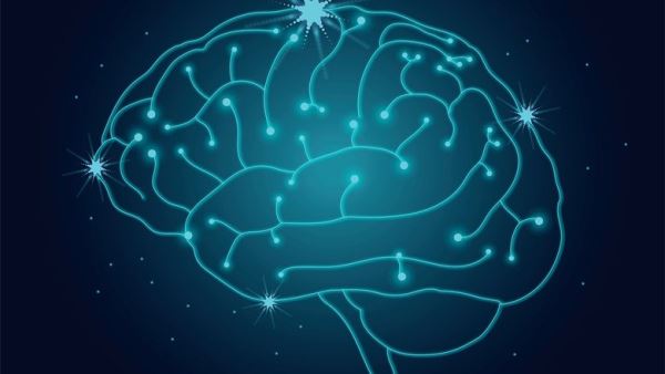 Российские ученые разработали новый подход к изучению активности головного мозга